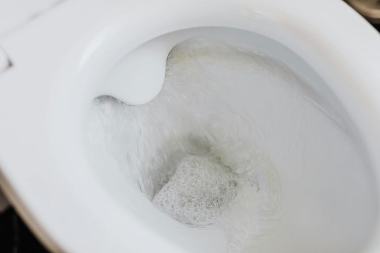 How to Unclog a Toilet Without a Plunger: Step-by-Step Guide